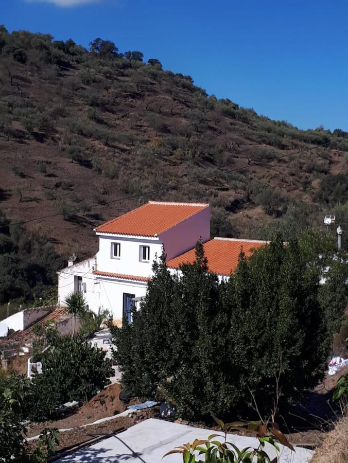 Bed and Breakfast Casa Aguila 2.0 Los Valverde Zewnętrze zdjęcie